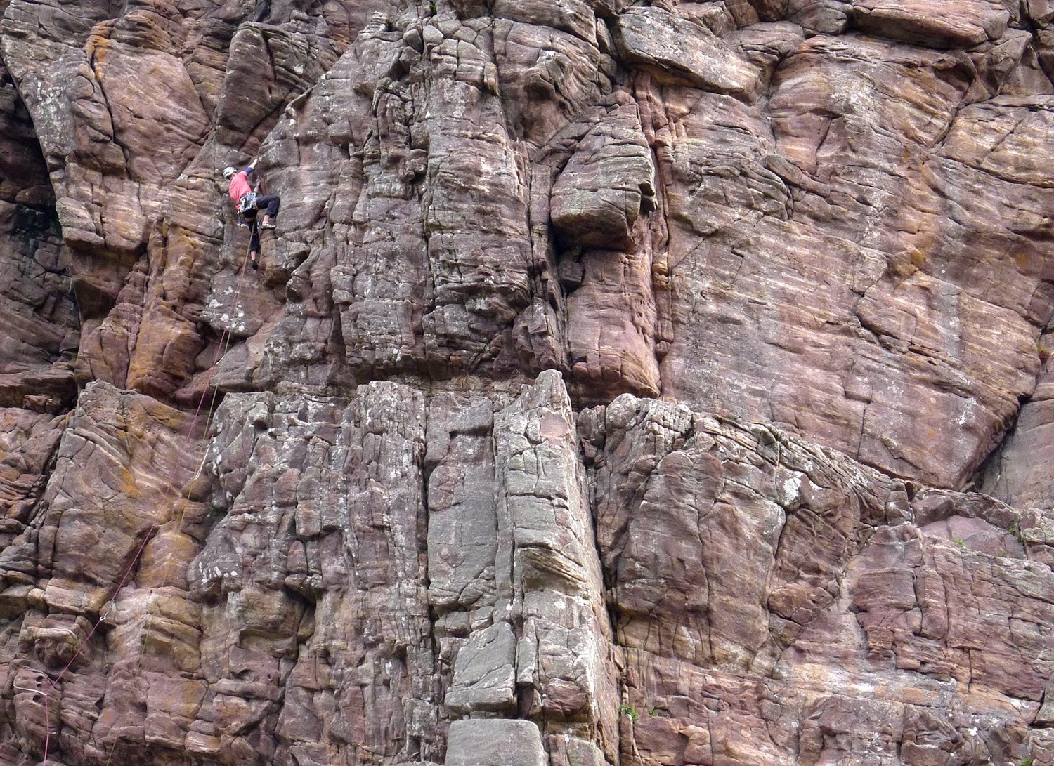 Murdo Jamieson on Velociraptor